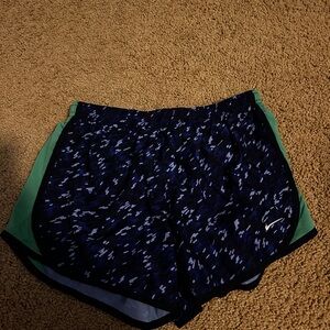 Nike Shorts in Blue and Green